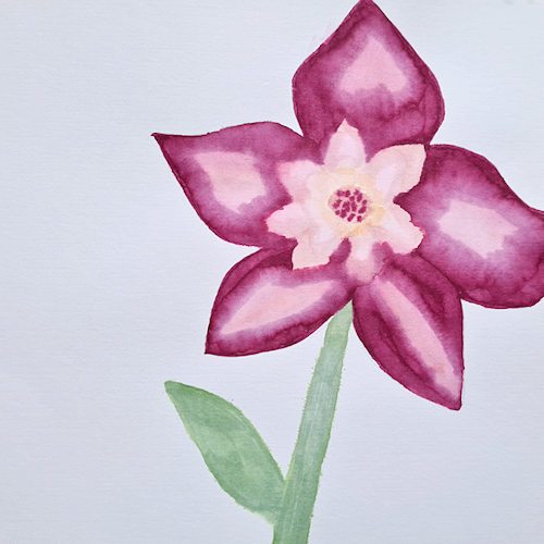 watercolour flower