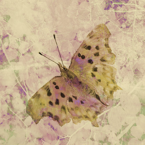 leafy butterfly digital art