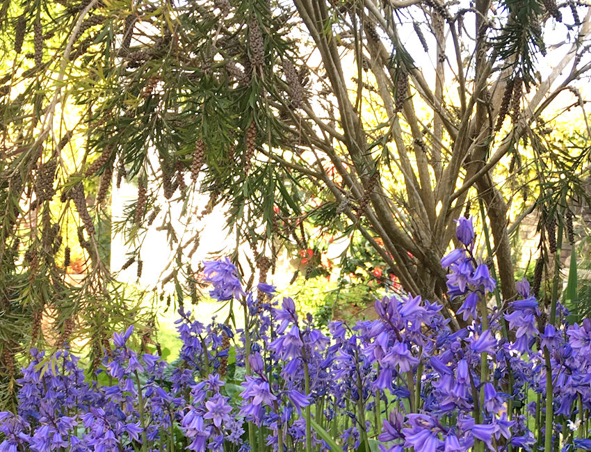 Nature & Wildlife In The Garden Over The Years